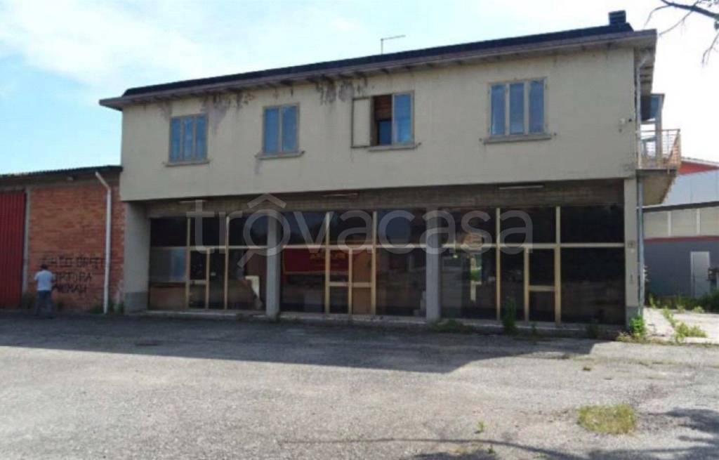 immagine annuncio 5 di 11