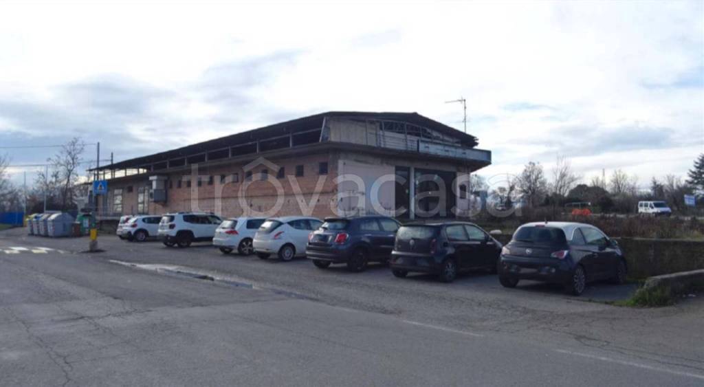 immagine annuncio 9 di 11