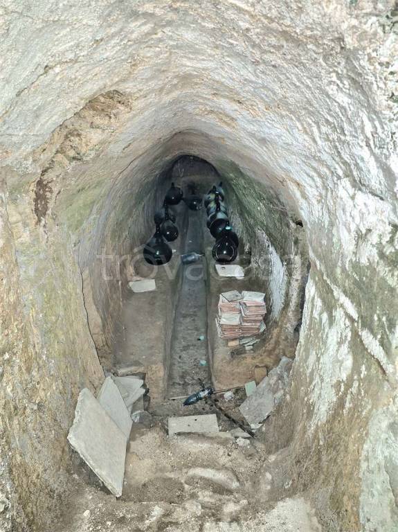 immagine annuncio 5 di 14