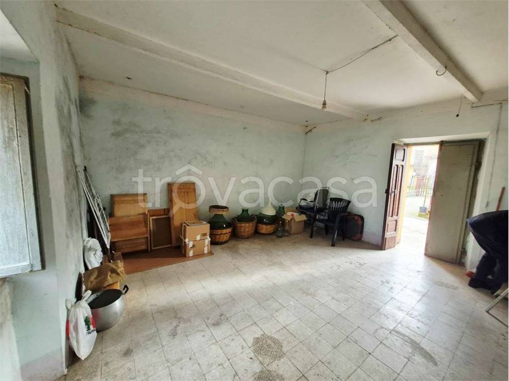 immagine annuncio 10 di 14