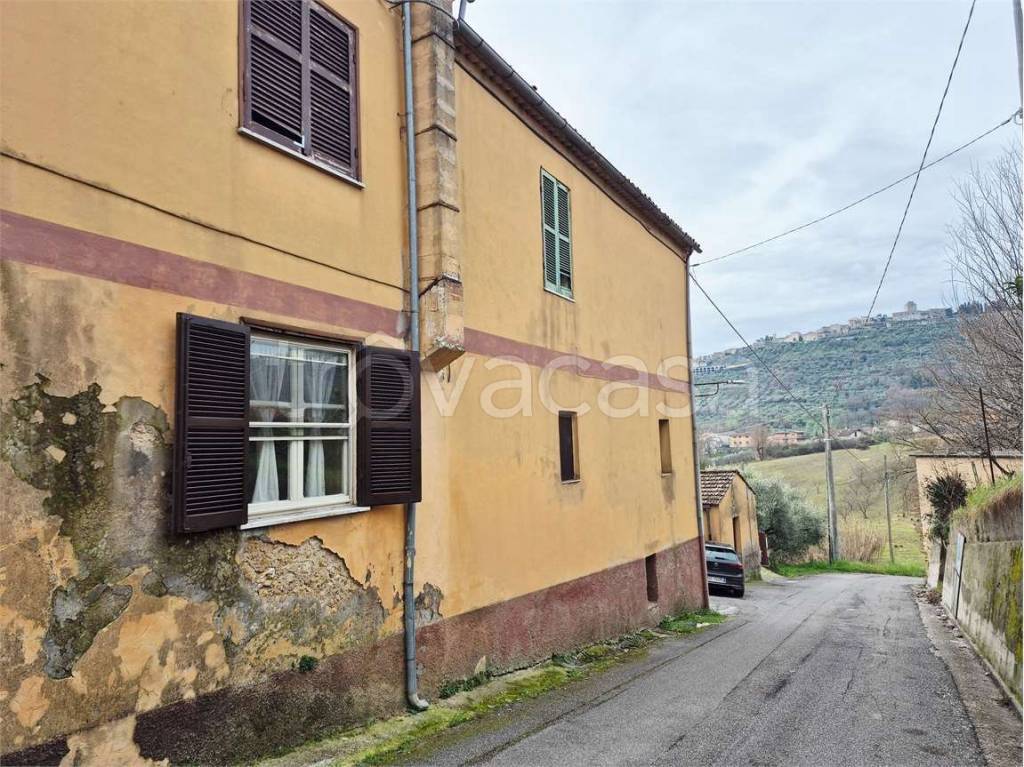 immagine annuncio 12 di 14