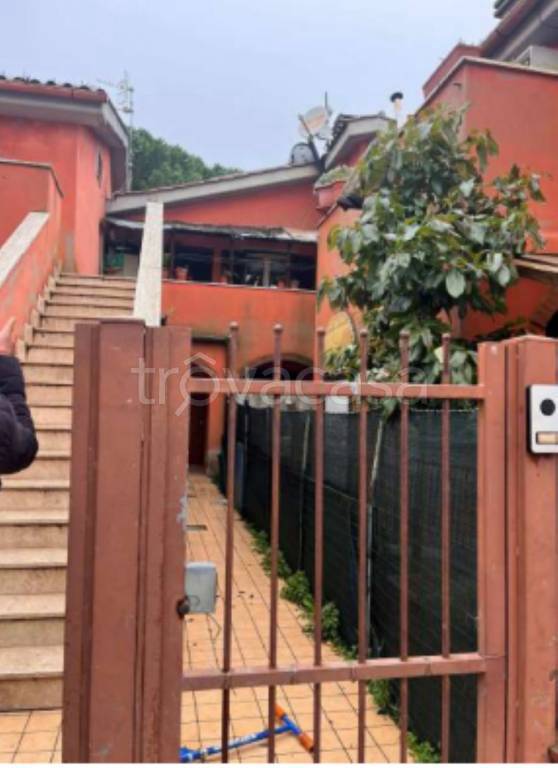 immagine annuncio 7 di 12