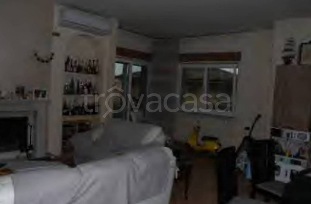 immagine annuncio 5 di 14