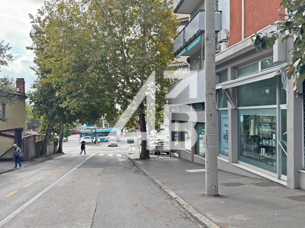 immagine annuncio 3 di 7