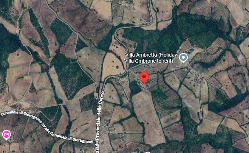 immagine annuncio 5 di 11