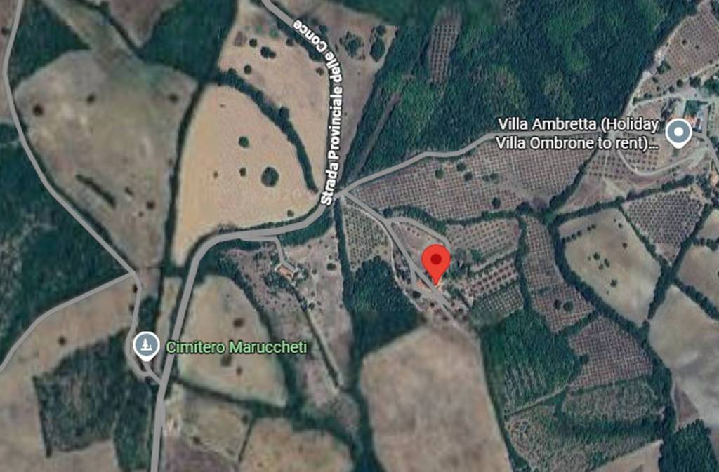 immagine annuncio 6 di 11