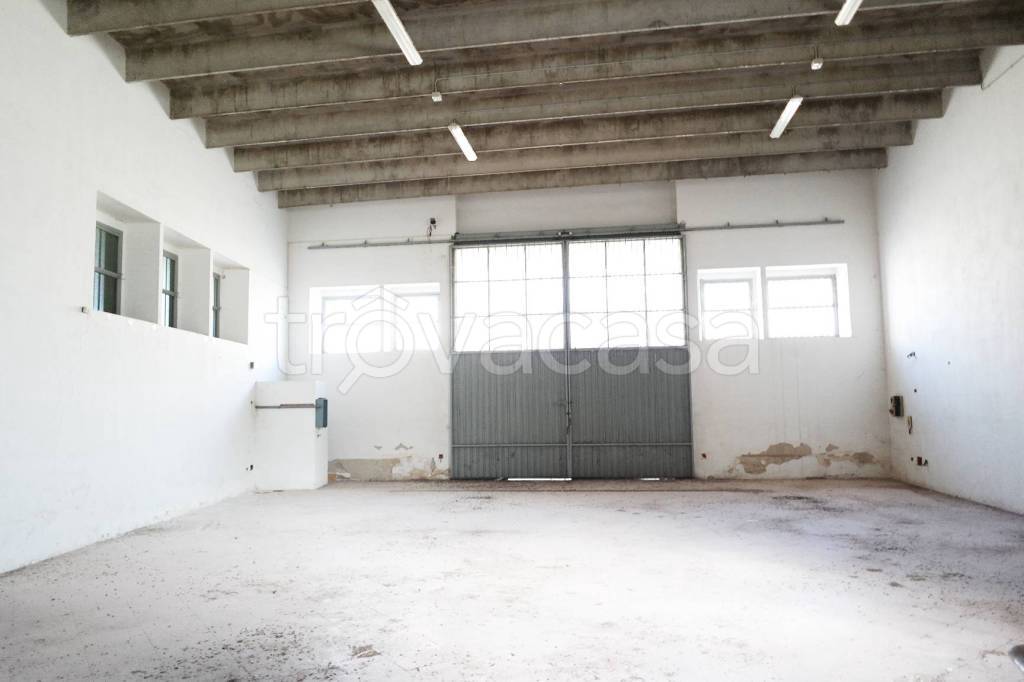 immagine annuncio 5 di 6