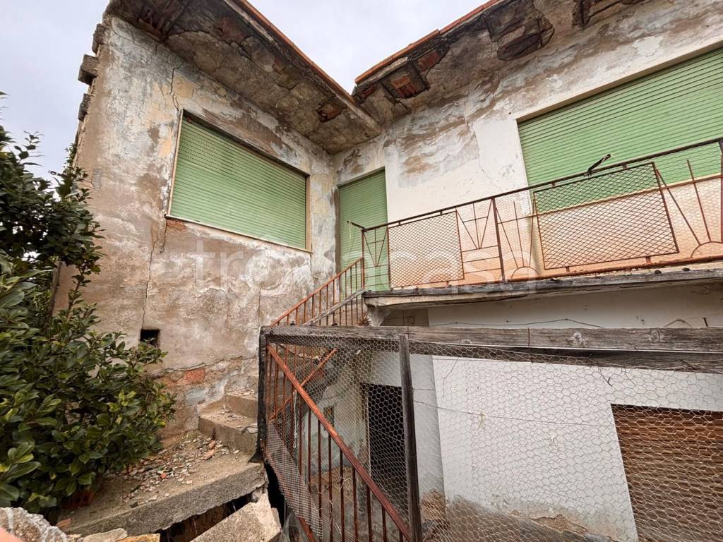 immagine annuncio 2 di 7