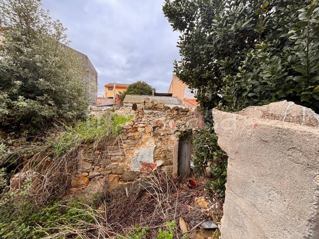 immagine annuncio 4 di 7