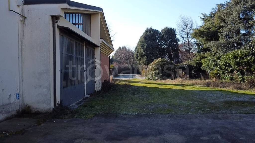 immagine annuncio 5 di 15