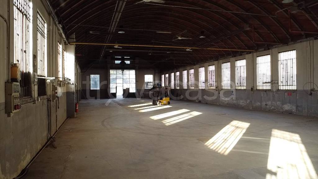 immagine annuncio 9 di 15