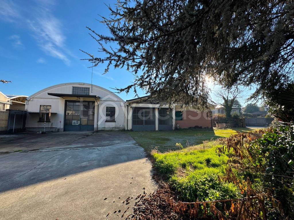 immagine annuncio 13 di 15