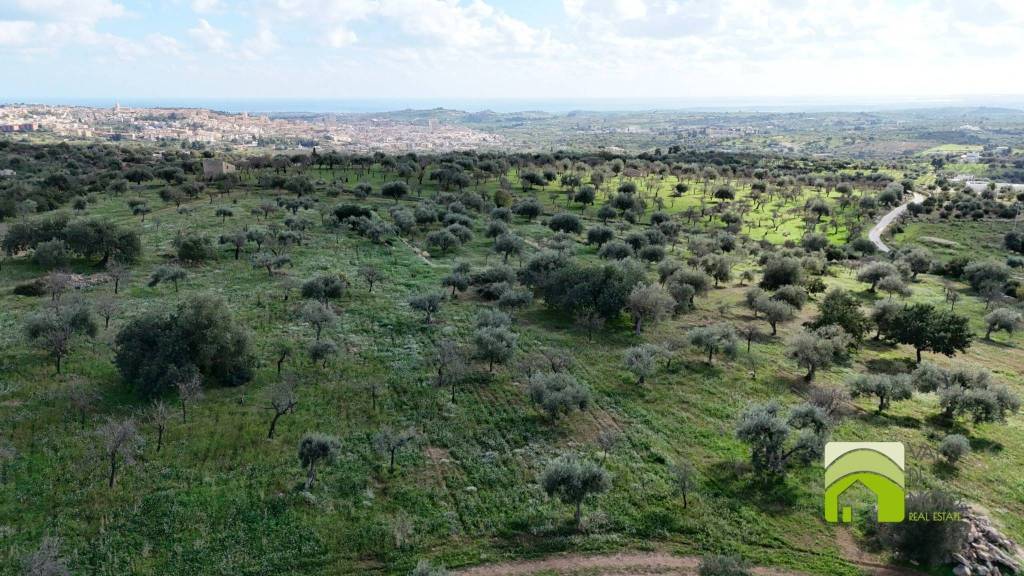 immagine annuncio 4 di 6