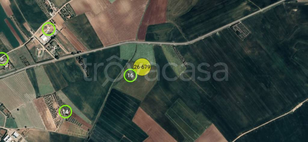 immagine annuncio 1 di 10