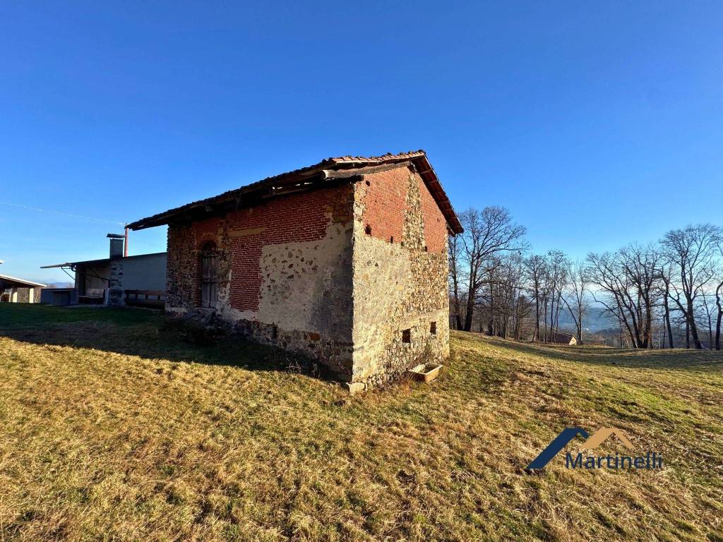 immagine annuncio 13 di 15