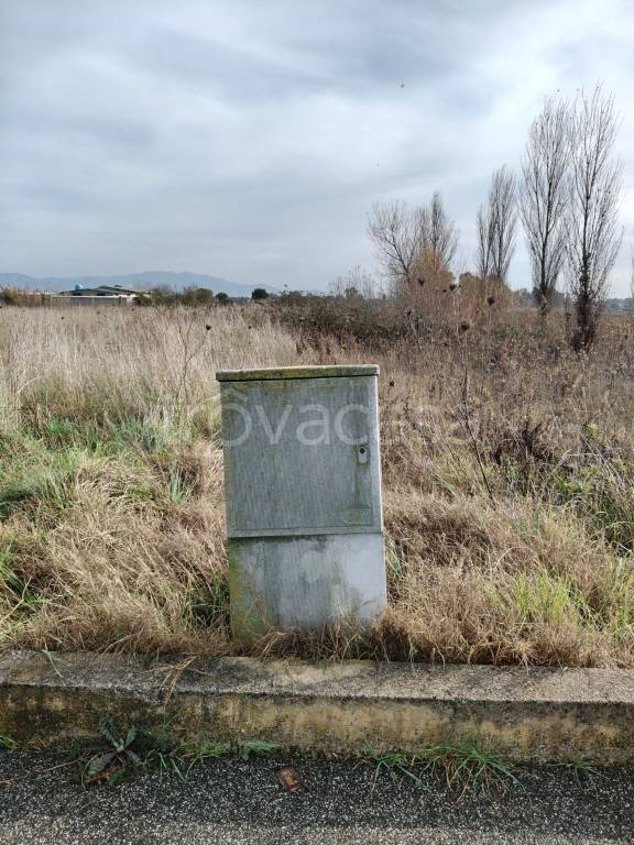 immagine annuncio 2 di 6