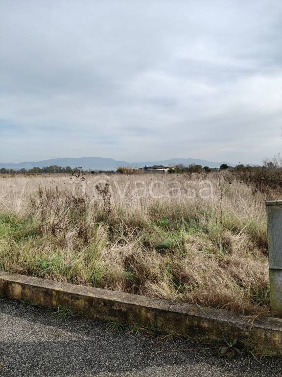 immagine annuncio 5 di 6