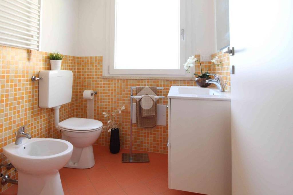 immagine annuncio 5 di 12