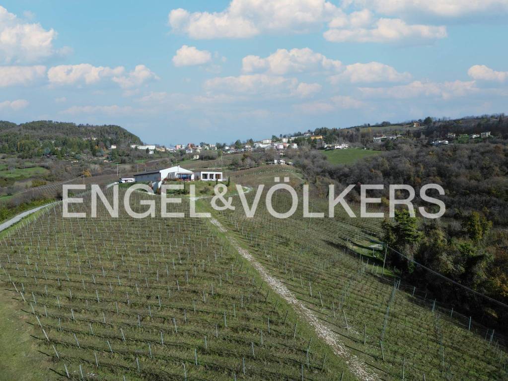 immagine annuncio 2 di 7