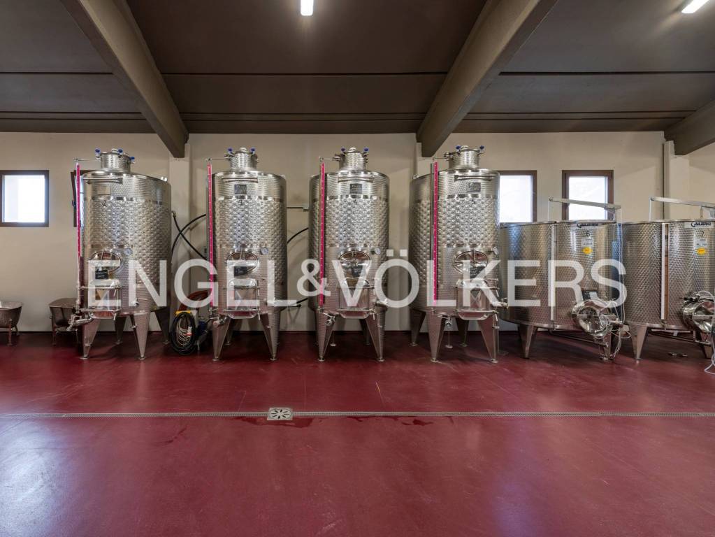 immagine annuncio 4 di 7