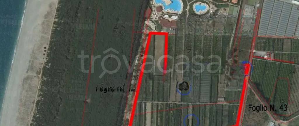 immagine annuncio 1 di 12