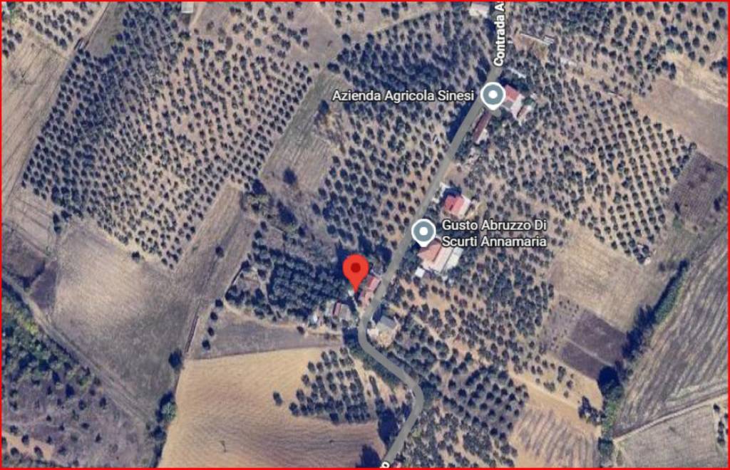 immagine annuncio 11 di 12