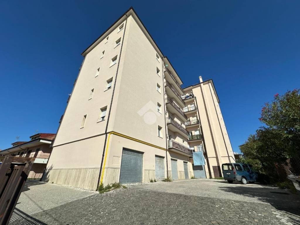 immagine annuncio 12 di 15