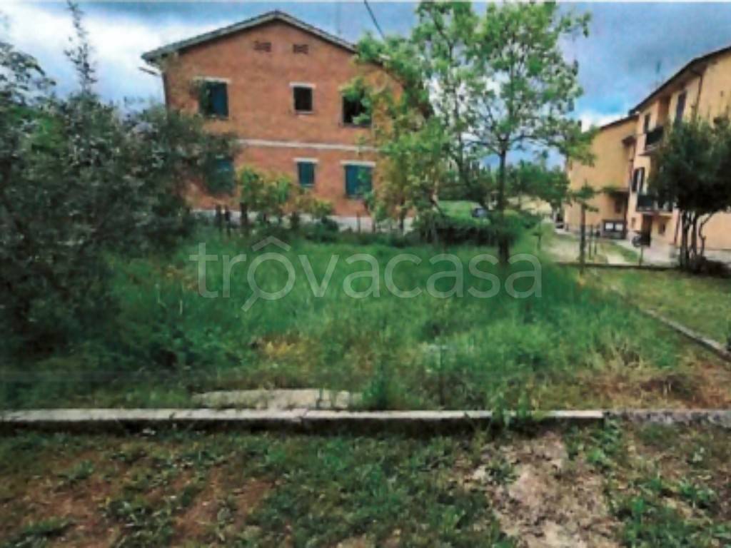 immagine annuncio 8 di 12