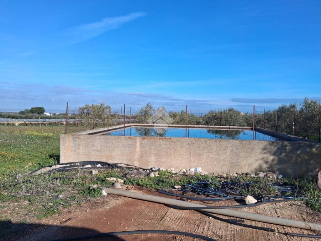 immagine annuncio 3 di 8