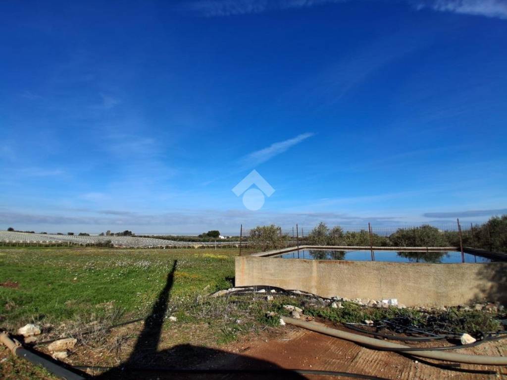 immagine annuncio 4 di 8