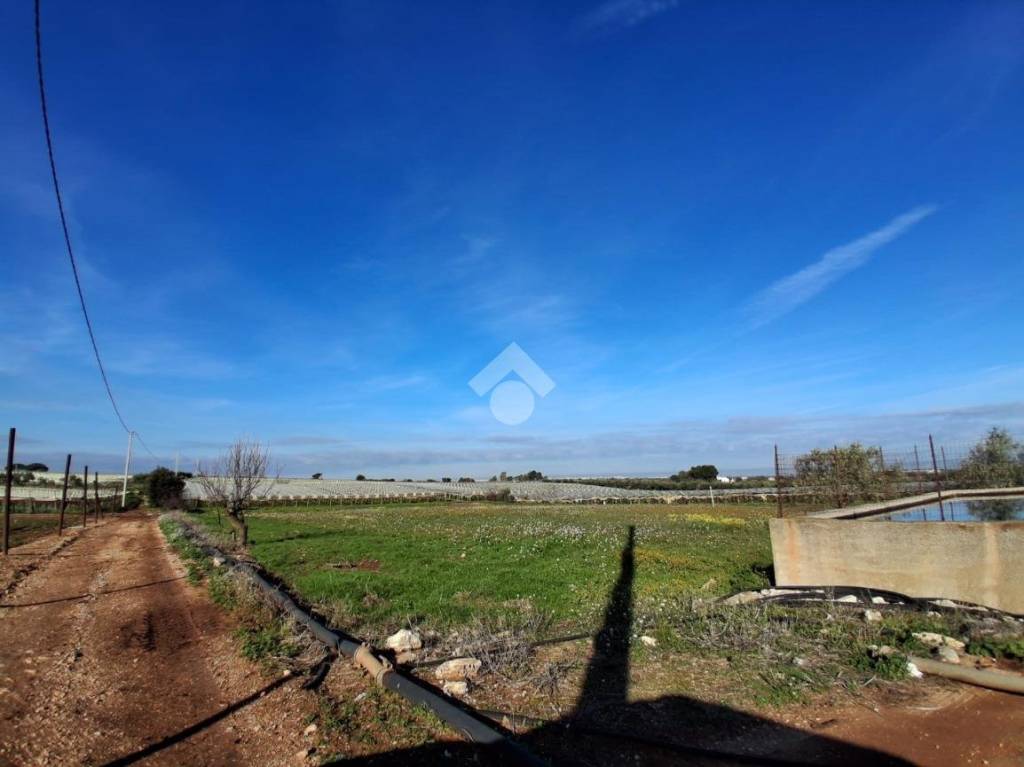 immagine annuncio 6 di 8