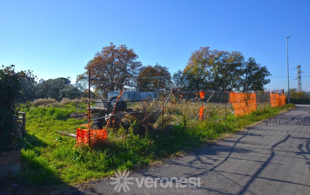 immagine annuncio 2 di 6