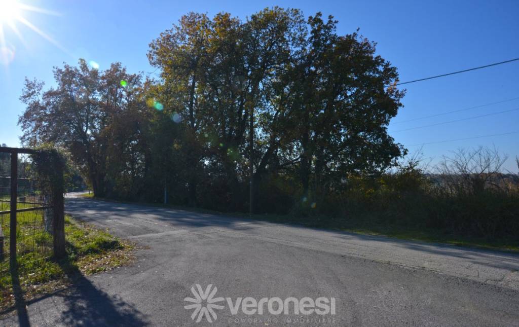 immagine annuncio 3 di 6