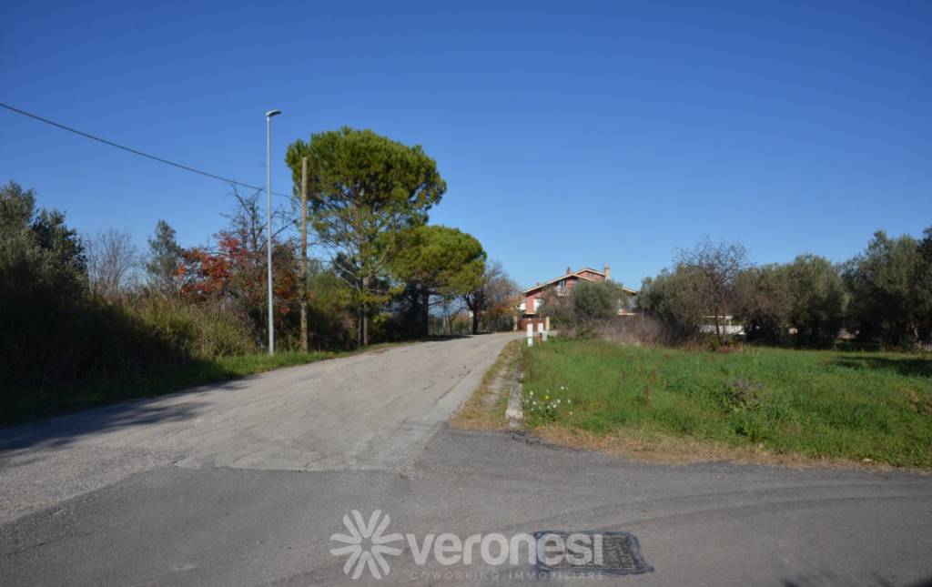 immagine annuncio 4 di 6