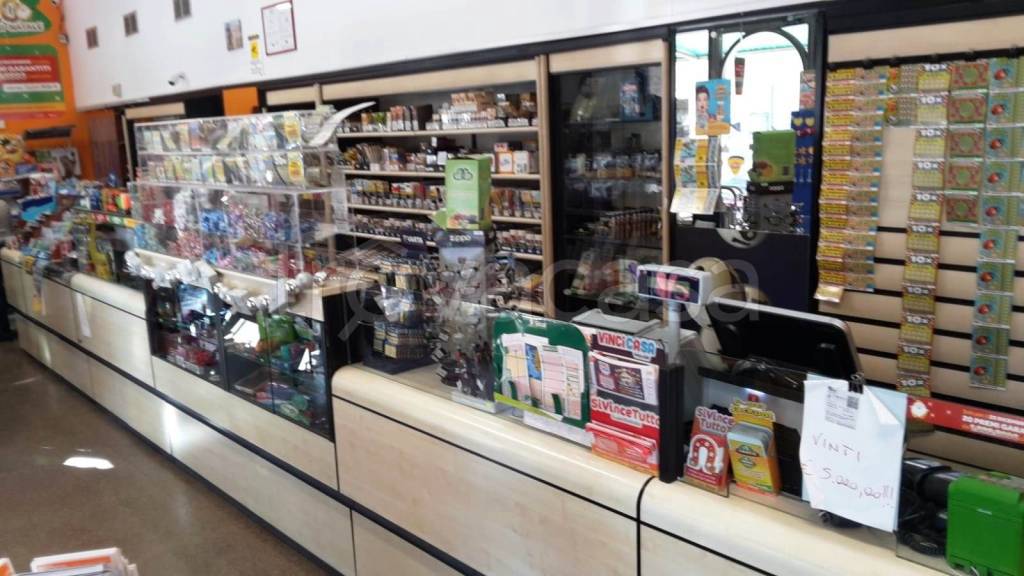 immagine annuncio 2 di 12