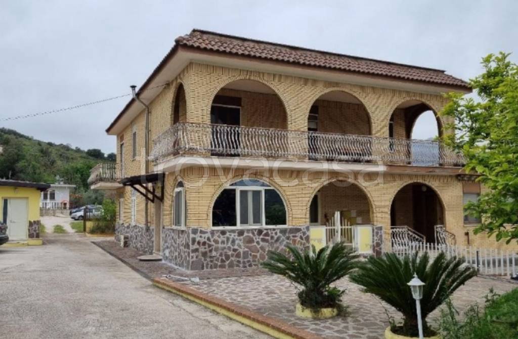 immagine annuncio 8 di 12