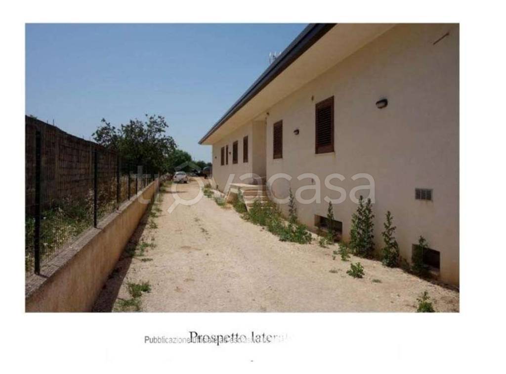 immagine annuncio 5 di 12