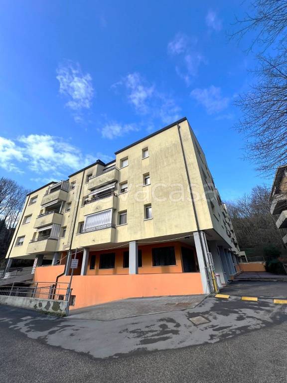 immagine annuncio 13 di 14