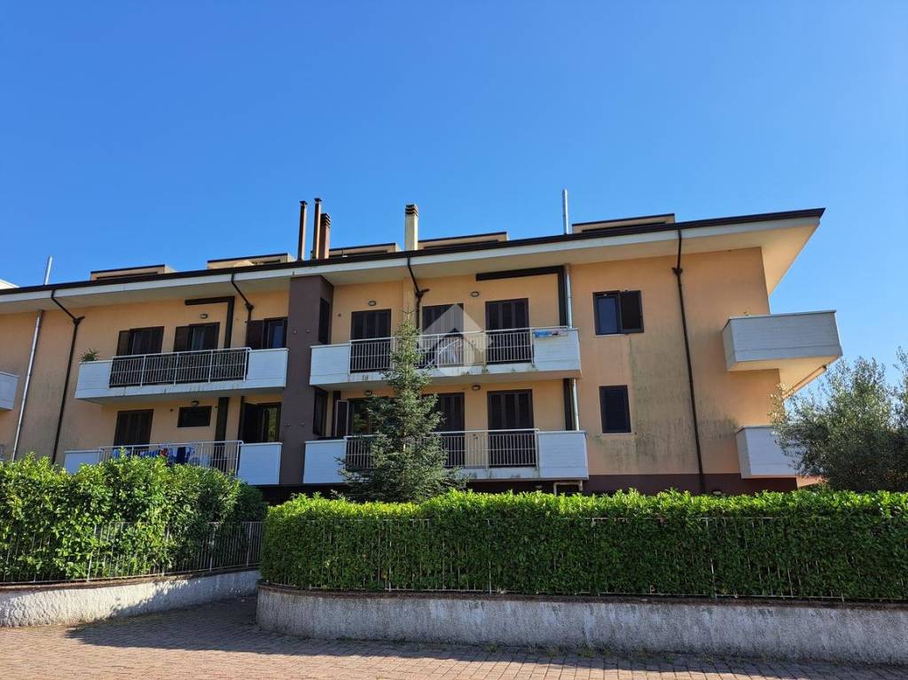 immagine annuncio 12 di 15