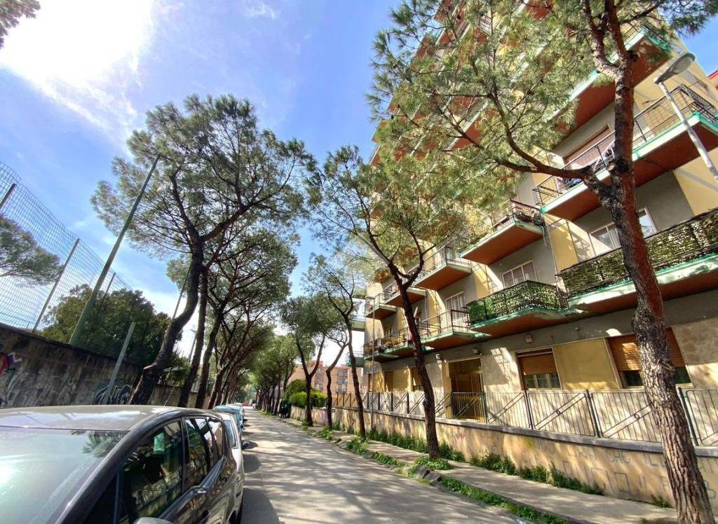 immagine annuncio 6 di 9