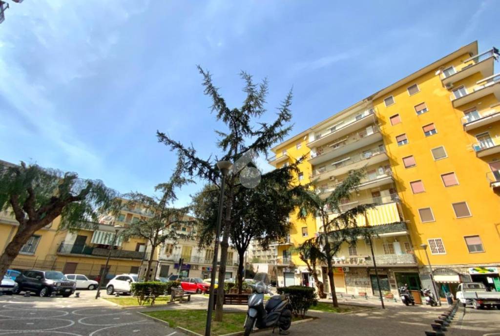 immagine annuncio 5 di 9