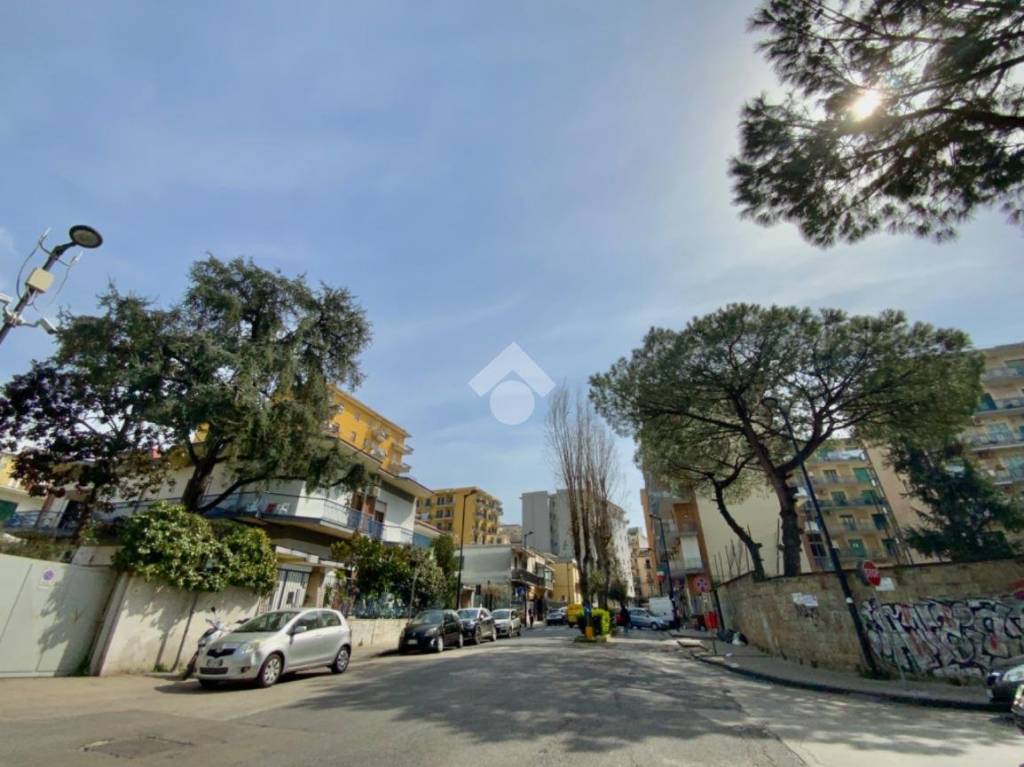 immagine annuncio 4 di 9