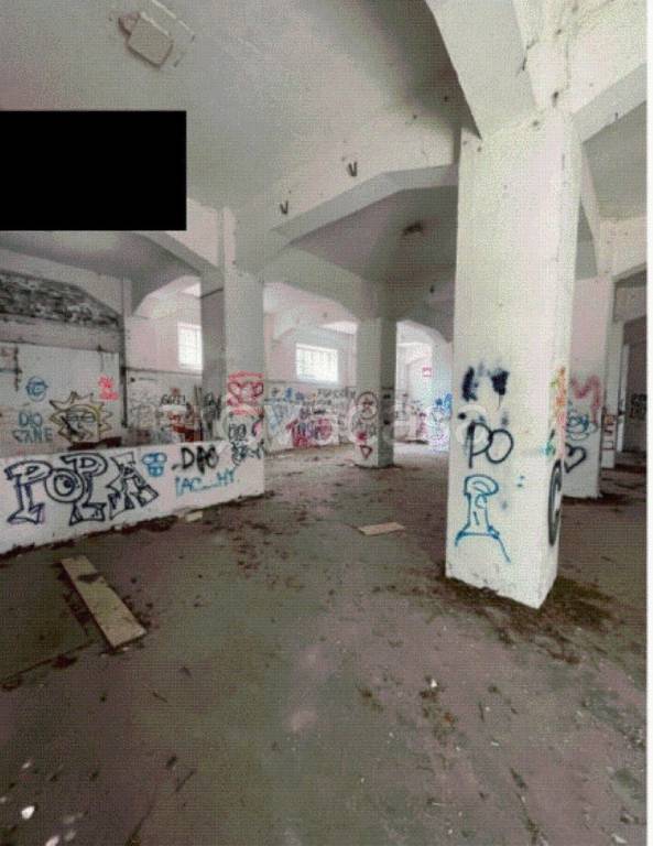 immagine annuncio 3 di 11