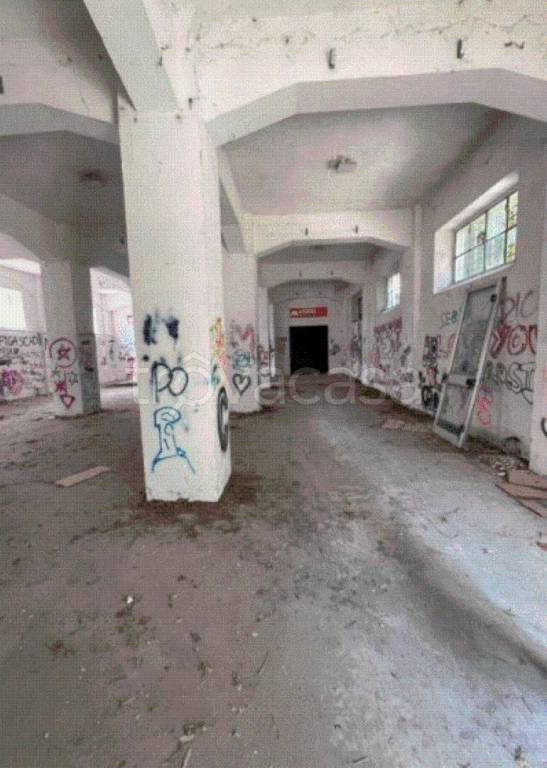 immagine annuncio 4 di 11