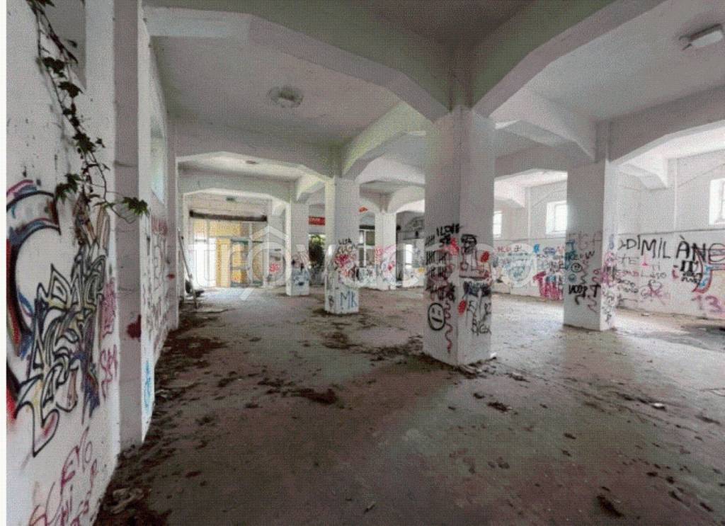 immagine annuncio 5 di 11