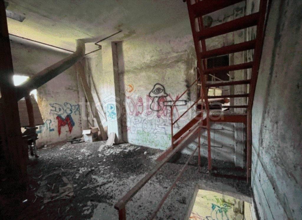 immagine annuncio 7 di 11