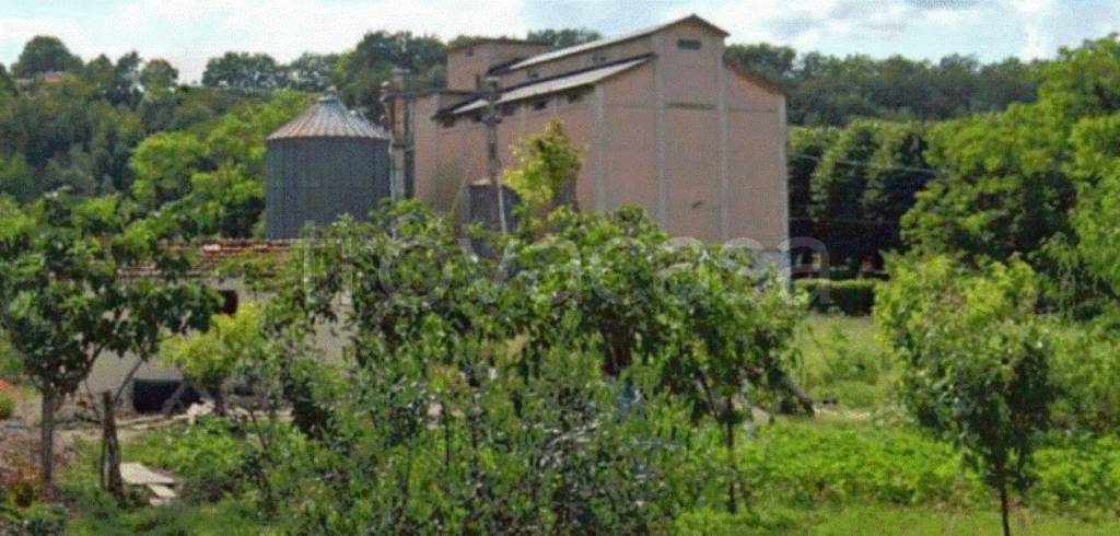 immagine annuncio 9 di 11