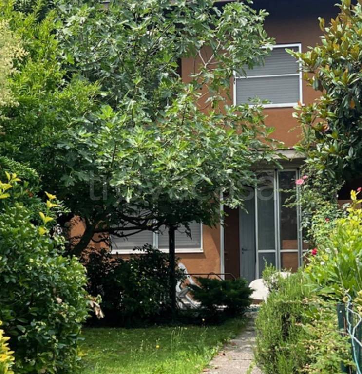 immagine annuncio 11 di 13