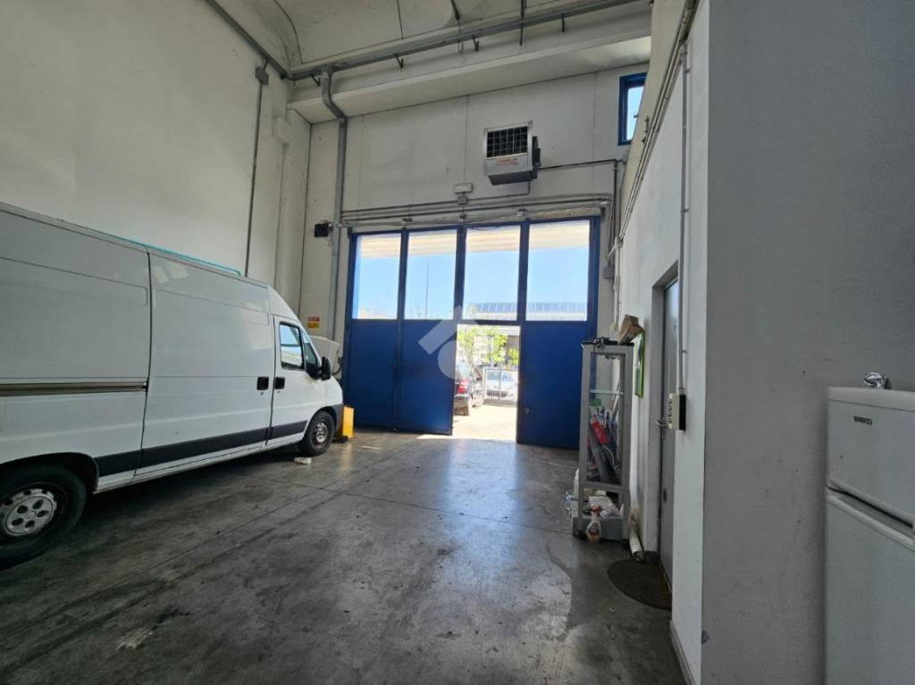 immagine annuncio 2 di 15