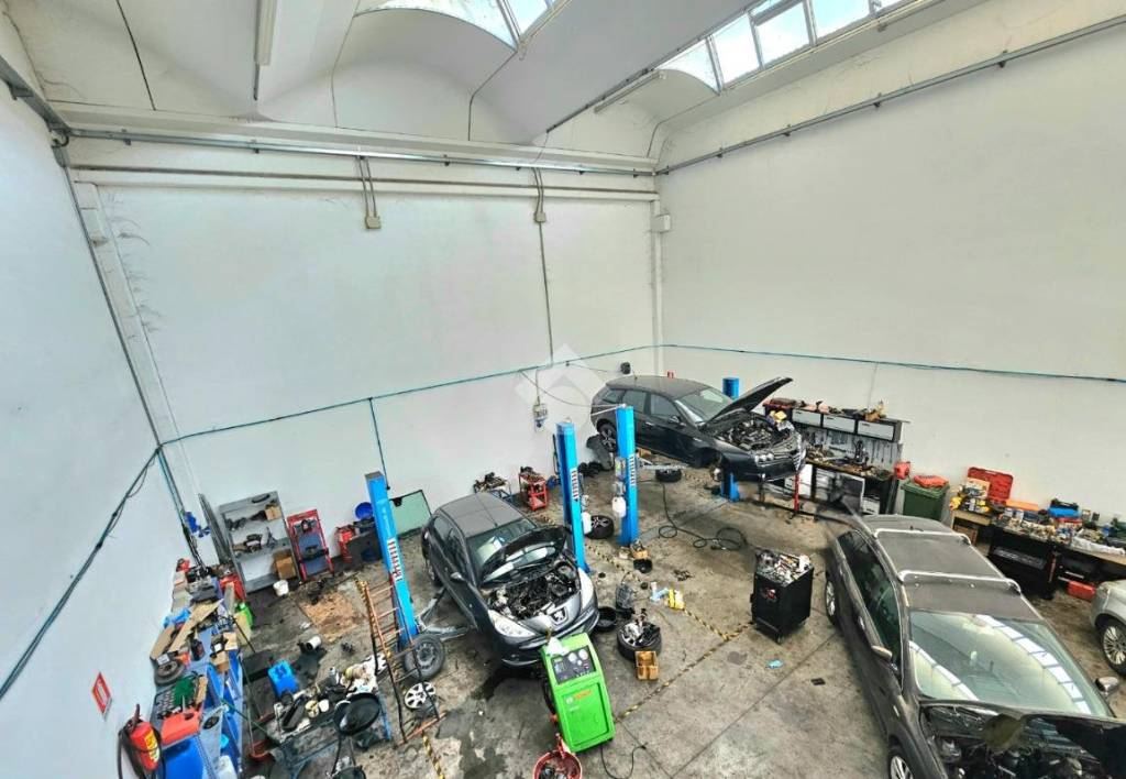 immagine annuncio 9 di 15